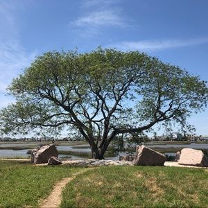 Meet your Posher, Jarelis